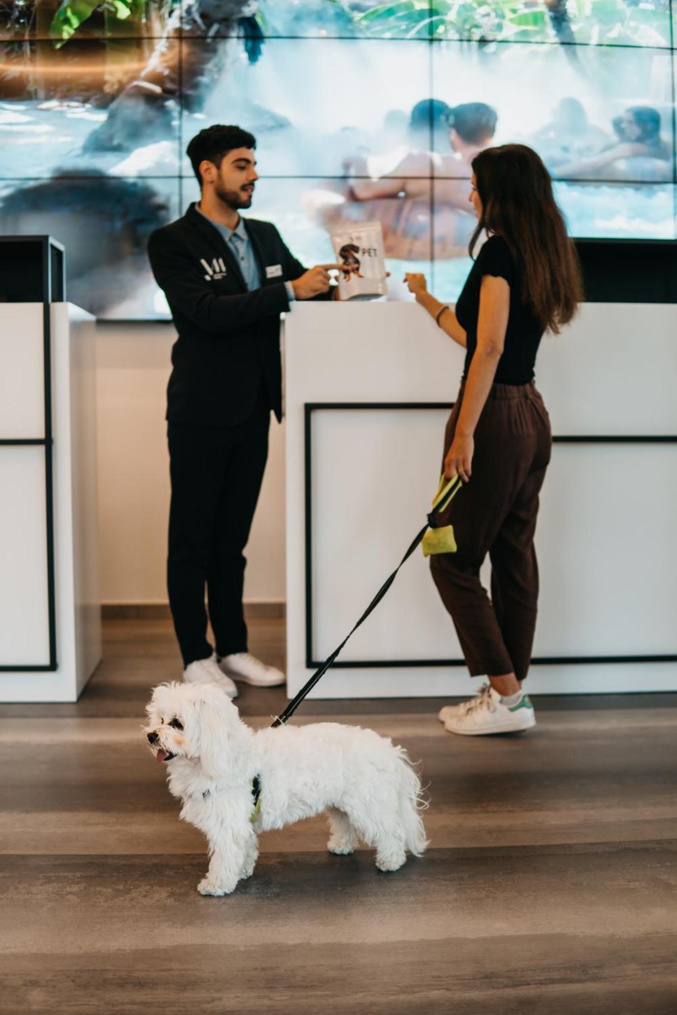 J44 Lifestyle Hotel Lido di Jesolo Luaran gambar Dog at the reception of a hotel